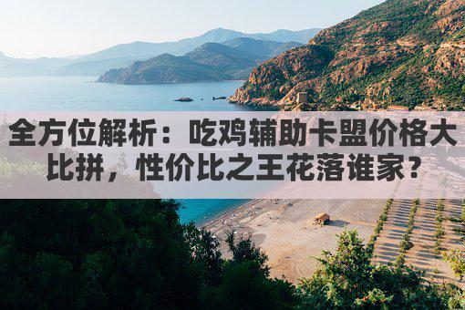 全方位解析:吃鸡辅助卡盟价格大比拼,性价比之王花落谁家?