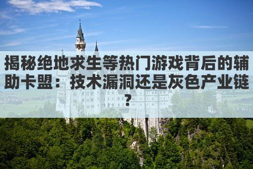 揭秘绝地求生等热门游戏背后的辅助卡盟:技术漏洞还是灰色产业链?