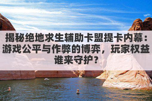 揭秘绝地求生辅助卡盟提卡内幕：游戏公平与作弊的博弈，玩家权益谁来守护？