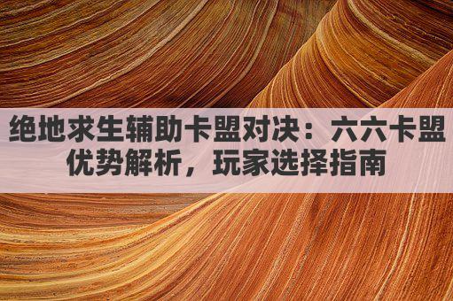 绝地求生辅助卡盟对决：六六卡盟优势解析，玩家选择指南