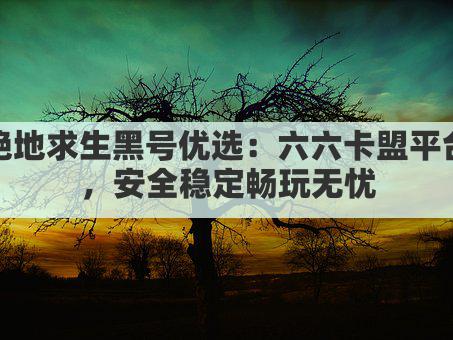 绝地求生黑号优选：六六卡盟平台，安全稳定畅玩无忧