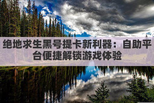绝地求生黑号提卡新利器：自助平台便捷解锁游戏体验