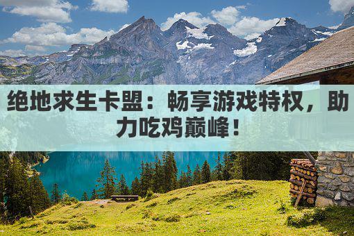 绝地求生卡盟:畅享游戏特权,助力吃鸡巅峰!