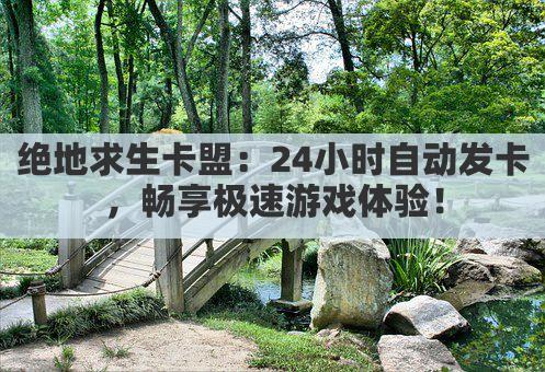 绝地求生卡盟:24小时自动发卡,畅享极速游戏体验!