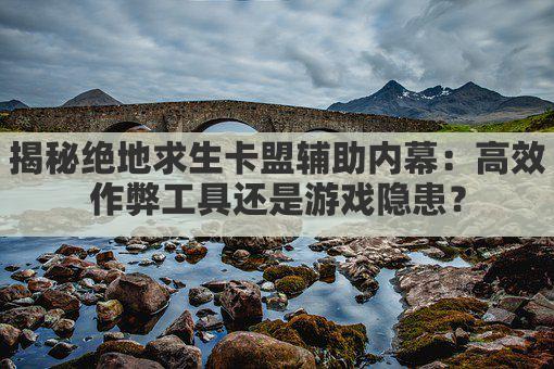 揭秘绝地求生卡盟辅助内幕:高效作弊工具还是游戏隐患?