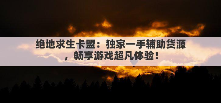 绝地求生卡盟:独家一手辅助货源,畅享游戏超凡体验!