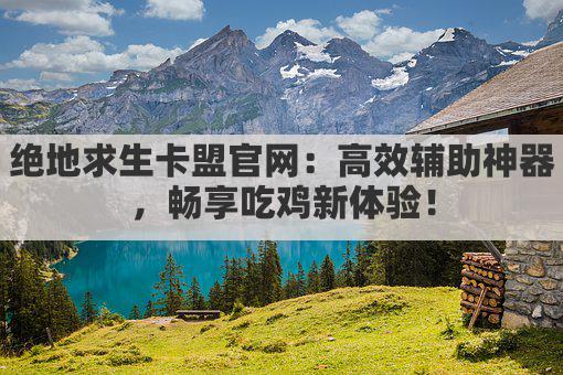 绝地求生卡盟官网：高效辅助神器，畅享吃鸡新体验！
