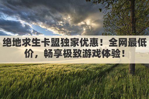绝地求生卡盟独家优惠!全网最低价,畅享极致游戏体验!