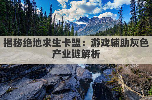 揭秘绝地求生卡盟：游戏辅助灰色产业链解析