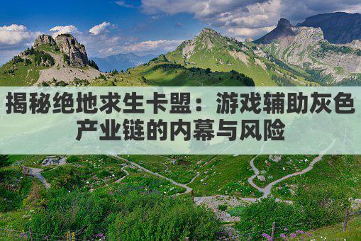 揭秘绝地求生卡盟：游戏辅助灰色产业链的内幕与风险