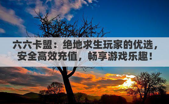 六六卡盟：绝地求生玩家的优选，安全高效充值，畅享游戏乐趣！