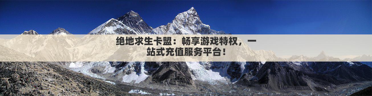 绝地求生卡盟:畅享游戏特权,一站式充值服务平台!