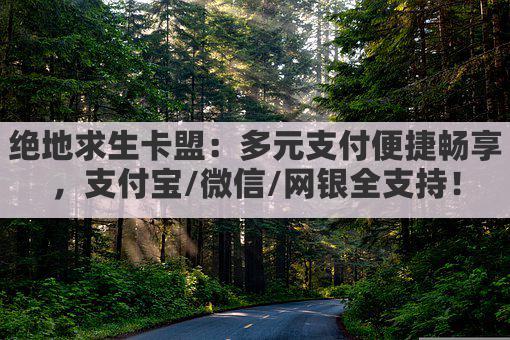 绝地求生卡盟：多元支付便捷畅享，支付宝/微信/网银全支持！