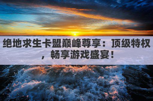 绝地求生卡盟巅峰尊享：顶级特权，畅享游戏盛宴！