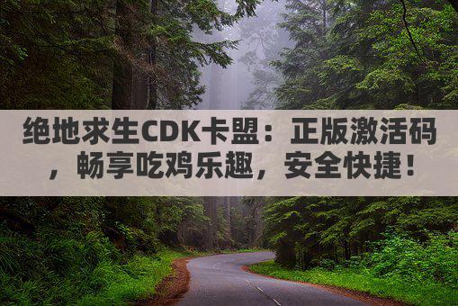 绝地求生CDK卡盟：正版激活码，畅享吃鸡乐趣，安全快捷！
