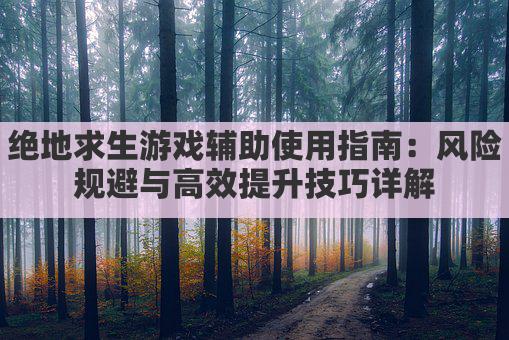 绝地求生游戏辅助使用指南:风险规避与高效提升技巧详解
