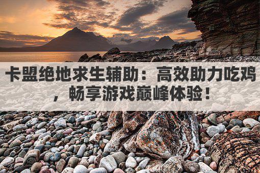 卡盟绝地求生辅助:高效助力吃鸡,畅享游戏巅峰体验!