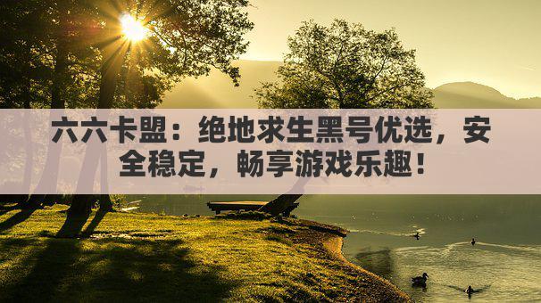六六卡盟：绝地求生黑号优选，安全稳定，畅享游戏乐趣！