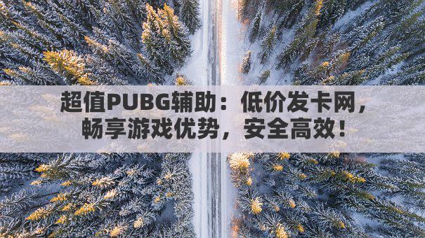 超值PUBG辅助：低价发卡网，畅享游戏优势，安全高效！