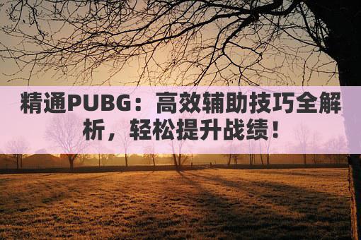 精通PUBG:高效辅助技巧全解析,轻松提升战绩!