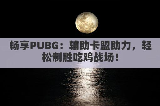 畅享PUBG:辅助卡盟助力,轻松制胜吃鸡战场!