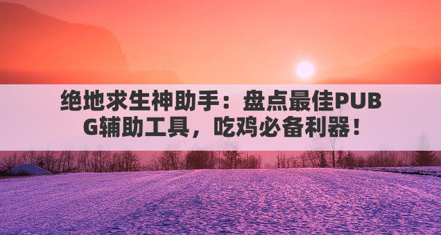 绝地求生神助手：盘点最佳PUBG辅助工具，吃鸡必备利器！