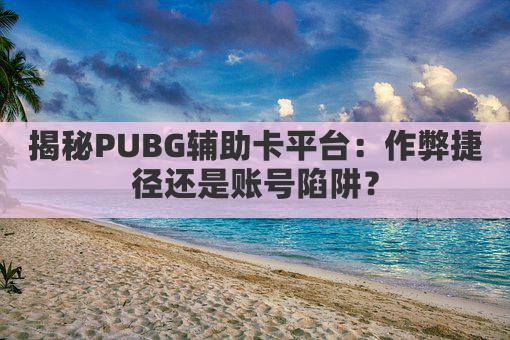 揭秘PUBG辅助卡平台：作弊捷径还是账号陷阱？