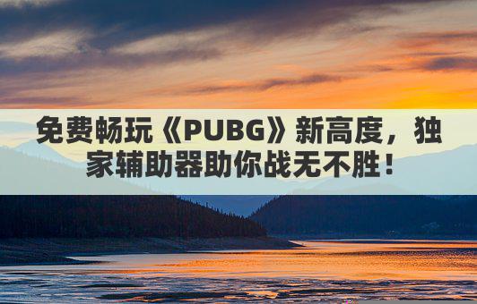 免费畅玩《PUBG》新高度，独家辅助器助你战无不胜！