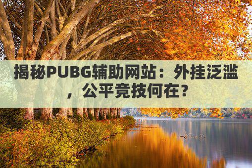 揭秘PUBG辅助网站:外挂泛滥,公平竞技何在?