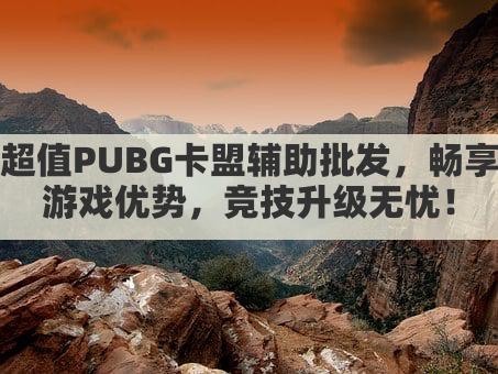 超值PUBG卡盟辅助批发，畅享游戏优势，竞技升级无忧！