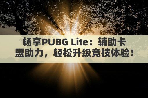 畅享PUBG Lite:辅助卡盟助力,轻松升级竞技体验!