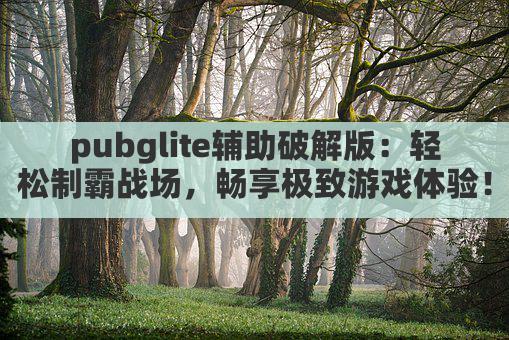 pubglite辅助破解版：轻松制霸战场，畅享极致游戏体验！