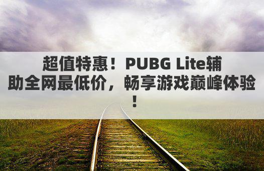 超值特惠!PUBG Lite辅助全网最低价,畅享游戏巅峰体验!