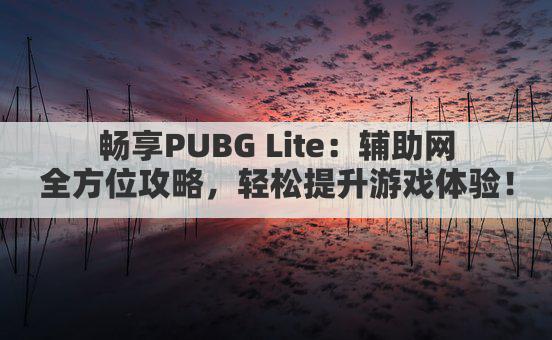 畅享PUBG Lite:辅助网全方位攻略,轻松提升游戏体验!