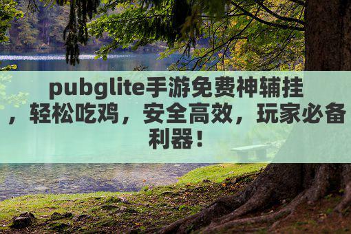 pubglite手游免费神辅挂,轻松吃鸡,安全高效,玩家必备利器!
