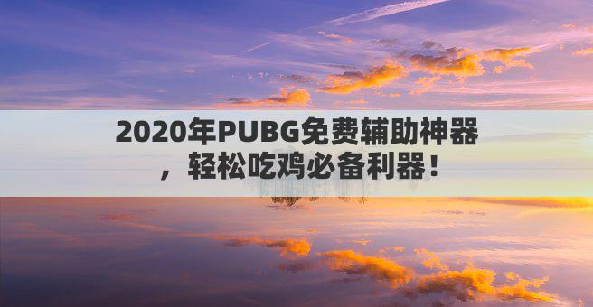 2020年PUBG免费辅助神器，轻松吃鸡必备利器！
