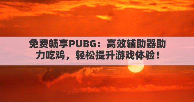 免费畅享PUBG：高效辅助器助力吃鸡，轻松提升游戏体验！