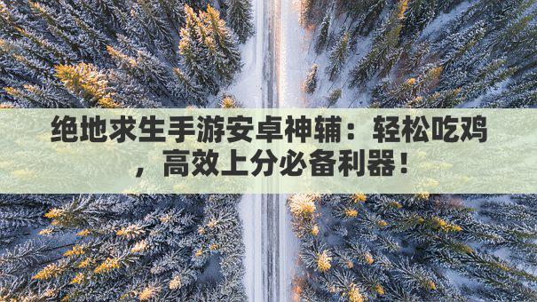 绝地求生手游安卓神辅：轻松吃鸡，高效上分必备利器！