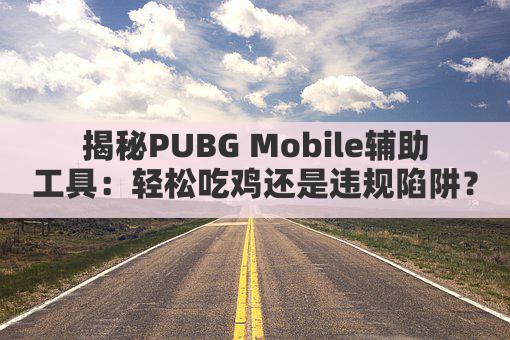 揭秘PUBG Mobile辅助工具:轻松吃鸡还是违规陷阱?