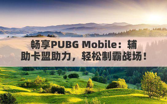 畅享PUBG Mobile:辅助卡盟助力,轻松制霸战场!