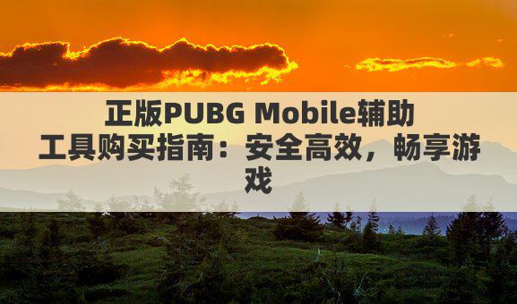 正版PUBG Mobile辅助工具购买指南：安全高效，畅享游戏