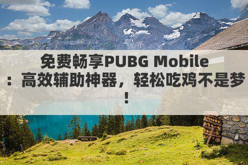 免费畅享PUBG Mobile：高效辅助神器，轻松吃鸡不是梦！