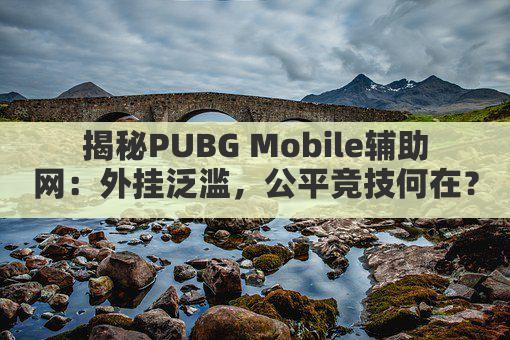 揭秘PUBG Mobile辅助网：外挂泛滥，公平竞技何在？