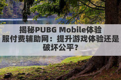 揭秘PUBG Mobile体验服付费辅助网:提升游戏体验还是破坏公平?
