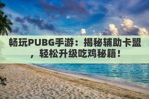 畅玩PUBG手游：揭秘辅助卡盟，轻松升级吃鸡秘籍！