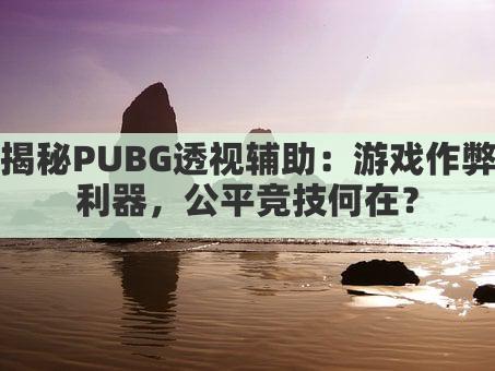 揭秘PUBG透视辅助:游戏作弊利器,公平竞技何在?