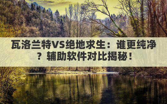 瓦洛兰特VS绝地求生：谁更纯净？辅助软件对比揭秘！