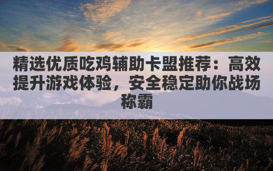 精选优质吃鸡辅助卡盟推荐:高效提升游戏体验,安全稳定助你战场称霸