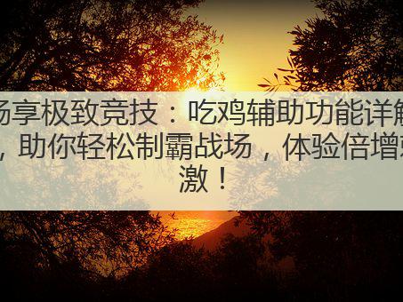 畅享极致竞技：吃鸡辅助功能详解，助你轻松制霸战场，体验倍增刺激！