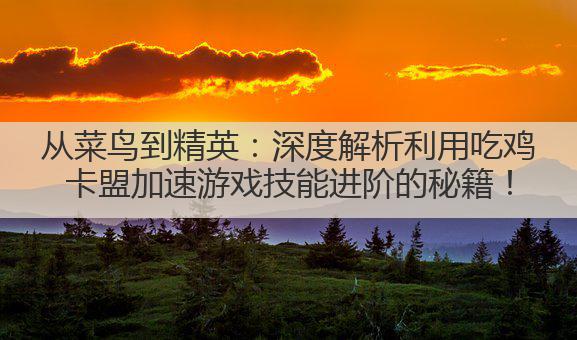 从菜鸟到精英：深度解析利用吃鸡卡盟加速游戏技能进阶的秘籍！